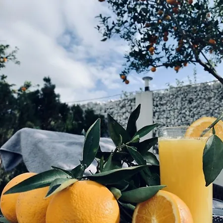 Mira Palace & 锡德