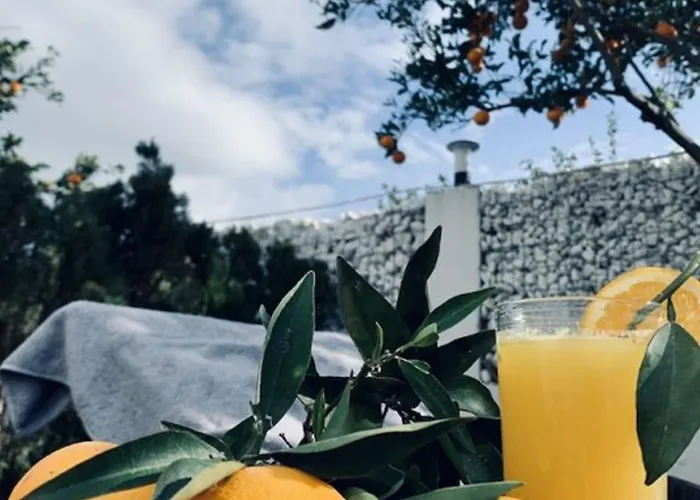 Mira Palace & Σιντέ